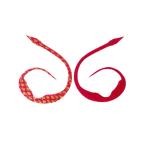 START [90] MCJ-40 シリコンネクタイ マジカーリーjr. リバーシブルレッドゴールド (N5) お一人様1点限り