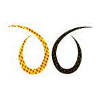 START [90] KN-41 シリコンネクタイ カーリー リバーシブルチャートブラック (N10) お一人様1点限り