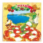 ショッピングピザ 同梱不可  送料無料 テイクアウト用ピザ箱 リドブルー 100枚 290mm×290mmx35mm｜テイクアウト take out 持ち帰り 箱 pizza ピザ BOX