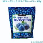 カークランドシグネチャー オーガニック ドライブルーベリー 567g