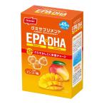 NISSUIグミサプリ EPA&DHA90CT