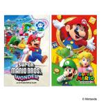 スーパーマリオブラザーズ(SuperMARIO)ポチ袋2柄セット(お年玉袋)(600-6440-05x2)