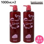 サニープレイス ヘアオペ ナノサプリ トリートメント グレープ 1000mL ×2個 セット