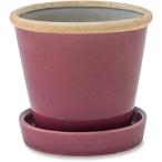 poshu living 30734g Rossi - pot black currant 10*10*10cm