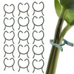 PAVIKE 洋蘭 植物用クリップ 60