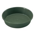  Ricci .ru Piaa -na plate 20 type темно-зеленый (DG)