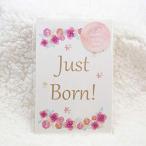 [meido in ....] baby man s Lee карта 18 шт. комплект 5 лет до *design2 flower месяц . фото месяц . карта цветок рост регистрация . память день празднование рождения 