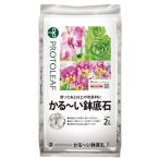 プロトリーフ かるーい鉢底石2L