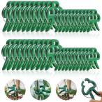 .. зажим растения зажим .. стебель. фигурная скобка прекращение .40 штук садоводство зажим садоводство индустрия для кабельная стяжка контактный дерево зажим . стебель ветка прямой . садоводство для удобный зажим повторный использование возможно 