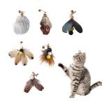 BTtime 猫 おもちゃ 6点セット 羽のおもちゃ 昆虫 蝶々 大飛ぶ虫 猫じゃらし 交換用おもちゃ 猫遊び用品