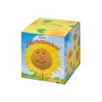 . новый керамика Mini hi вокруг культивирование комплект желтый размер : примерно W11.5 D11.5 H12.3 GD-1033