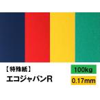  eko Japan R 100kg(0.17mm) можно выбрать 4 размер (A3 A4 B4 B5) ( цвет бумага )