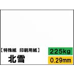 ケント紙 北雪 225kg(0.29mm) 選べる4サイズ(A3 A4 B4 B5) (色画用紙)