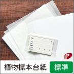 植物標本台紙・ラベルセット 標準サイズ（10枚入）/1セット 植物採集 台紙 夏休み 自由研究 自由研究キッド