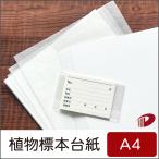 植物標本台紙・ラベルセット A4サイズ（10枚入）/1セット 植物採集 台紙 夏休み 自由研究 自由研究キッド 【ネコポス出荷】