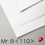 Mr.B<110>A4 500 листов 0.16mml каталог проспект средний .. брошюра складывать брошюра Flyer визитная карточка u Эдди ng