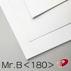 Mr.B<180>A3 100 листов 0.26mml каталог проспект средний .. брошюра складывать брошюра Flyer визитная карточка u Эдди ng