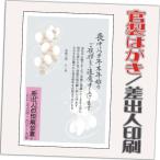 喪中はがき 喪中葉書 官製はがき 20枚 2023年 差出人印刷込み（デザイン：GZ03）