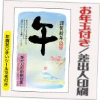 ショッピング年賀状 年賀状 年賀はがき 20枚 お年玉付き 年賀状じまいシール付  2026年 差出人印刷込み（デザイン：GB16） うま 馬 午年 かわいい イラスト