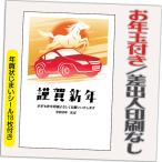 年賀状 年賀はがき 20枚 お年玉付き 年賀状じまいシール付  2026年 差出人なし（デザイン：HA122） うま 馬 午年 かわいい イラスト