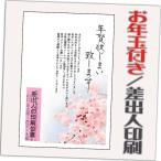 ショッピング年賀状 年賀状じまい お年玉付 年賀はがき 12枚 85円切手込 文章印刷済み 終活年賀状 年賀状辞退 2026年 差出人印刷込み（デザイン：J01）10枚＋2枚