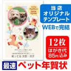 ショッピング年賀状 ペット年賀状 写真年賀状 12枚 自由編集 年賀はがき お年玉付 年賀状じまいシール付 ■選べる枚数■ 差出人自由 うま 馬 午年 イラスト 10枚＋2枚