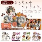 ペット フォトスタンド うちの子写真立て スマホでフォトスタンド アクリル ジオラマ フォトフレーム