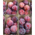  Wakayama производство солнечный ta Rosa слива ( sumomo ) примерно 5kg