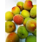 本場 和歌山産 南高梅(梅干用)(生梅)(わけあり)3kg