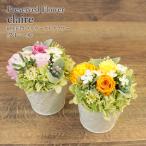  консервированный Гиндза цветок . сохранять Гиндза [ clair ] 2 выбор цвета цветок подарок консервированный день рождения праздник . работа праздник .. покупка 