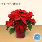 po in se Cheer горшок po in se Cheer красный Рождество подарок Рождество подарок по случаю конца года подарок цветок цветок подарок горшок . цветочный горшок 11 месяц 10 день ~12 месяц 17 до дня доставка 2025
