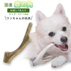 犬の玩具鹿の角国産お試し1本入り約...