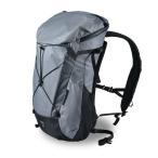 [2026/3/26 распродажа начало ]PaaGoWORKS ALK 24pa-go Works aruk24