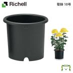  рассылка классификация K1. горшок 10 номер Ricci .ru диаметр 32.5× высота 28cm земля емкость 14L садоводство садоводство горшок покрытие цветочный горшок модный посадочная машина пластиковый круг форма иен тубус форма круглый 