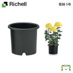  рассылка классификация K1. горшок 5 номер Ricci .ru диаметр 17× высота 14cm земля емкость 1.5L садоводство садоводство горшок покрытие цветочный горшок модный посадочная машина пластиковый круг форма иен тубус форма круглый 