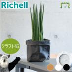  ограниченное количество бумага стеганый чехол 4 Ricci .ru11.5×11.5× высота 20.5cm садоводство горшок покрытие садоводство модный выращивание pot салон craft бумага прямой .. включая 4 номер 