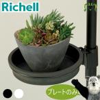  рассылка классификация K2bota колено висячий paul (pole) для plate N Ricci .ru садоводство садоводство горшок поддонник пластик висячий paul (pole) * висячий подставка для plate 