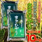 お米 白米 精米 ささひかり 5kg×2袋 10kg 令和5年 宮城県産 幻のササニシキ