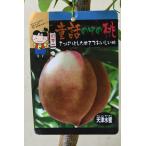  персик небо Цу вода меласса контактный дерево рассада 5 номер pot фруктовое дерево 