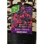 サルスベリシャドーマジック3.5号...