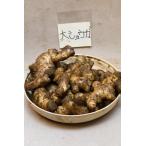  большой имбирь вид 1kg большой имбирь большой сырой . Chiba префектура производство 