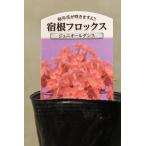 商品画像3
