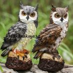 フクロウ 鳥よけ 鳩よけ 鳥対策 本物そっくり 樹脂  防鳥防獣対策 カラス対策 防鳥具 鳥よけグッズ 置物 オーナメント 装飾 ディスプレイ 縁起 ガーデニング 庭