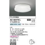 コイズミ照明　AU46978L　LED防雨防湿型CL Σ