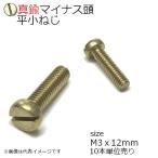 真鍮 平頭小ネジ M3x12mm 10本入り