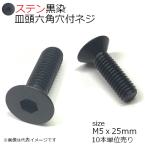 SUS 皿頭六角穴付ネジ 黒　M5x25mm　10個入
