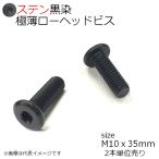 SUS 極薄ローヘッドビス 黒 M10x35ｍｍ 2本入