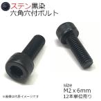 SUS 六角穴付きボルト　黒色　M2x6mm 12本入 全ネジ