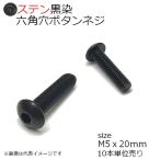 SUS 六角穴付ボタンネジ 黒色 M5x20mm 10本入 全ネジ