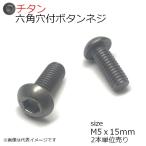 純チタン 六角穴付きボタンネジ M5x15mm 2本入　全ネジ